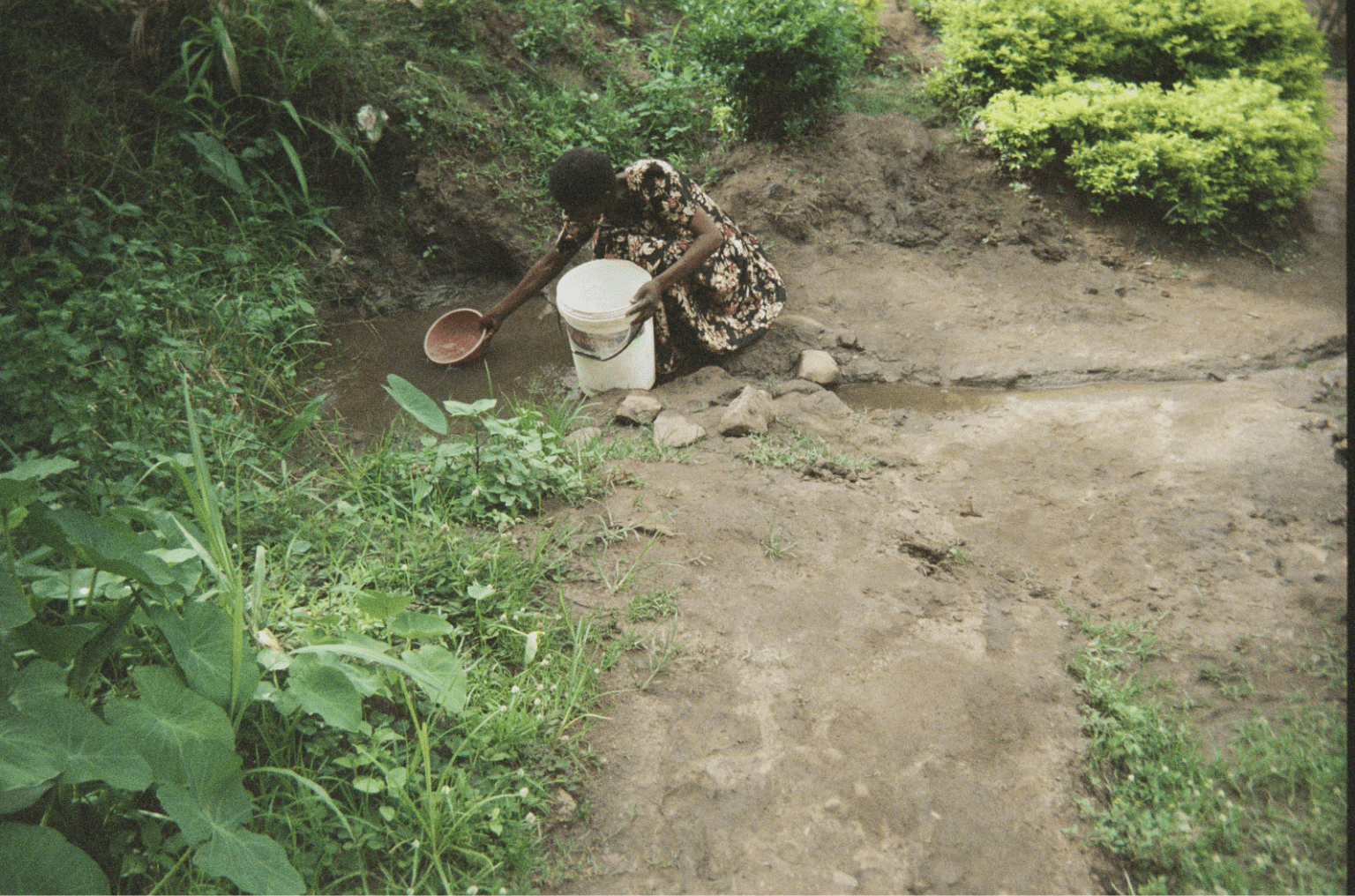 A person gathering water in a bucket